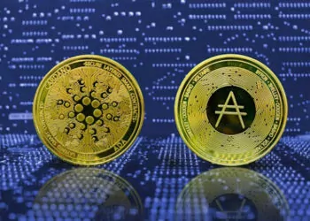 Ünlü Analist: “Bu Altcoin Uçacak!” Dedi ve Önemli Seviyeleri Belirtti