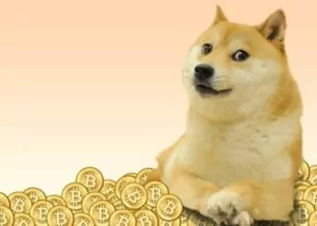 Dogecoin'de Balina İşlemleri Artıyor!