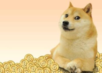 Elon Musk’tan DOGE Topluluğuna Çağrı!