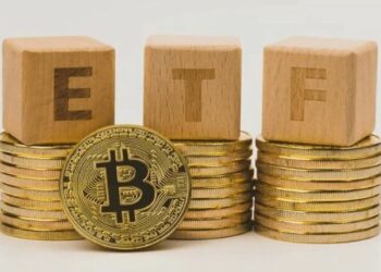 SkyBridge’in Bitcoin ETF’i Onaylanmadı