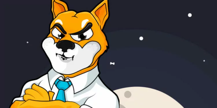 Shiba Inu Yaklaşan NFT Satışını Duyurdu 1 Shiba Inu Reklamı Sahte Çıktı