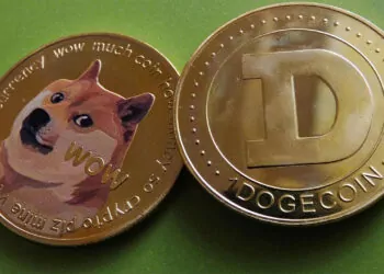 Nexon Artık Dogecoin Kabul Edecek!