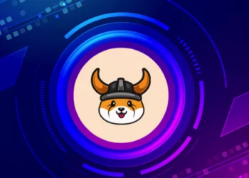 FLOKI İtalyan Kulübü ile Ortaklık Kurdu