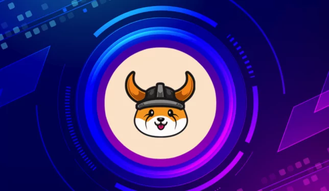 Floki Inu Hindistan'da! 1 FLOKI İtalyan Kulübü ile Ortaklık Kurdu