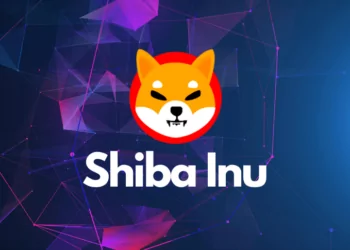 Shiba Inu’dan Gizemli Paylaşım
