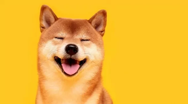 Kraken Shiba Inu'yu Listeleyecek mi?