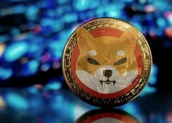 Shiba Inu Daha Popüler!