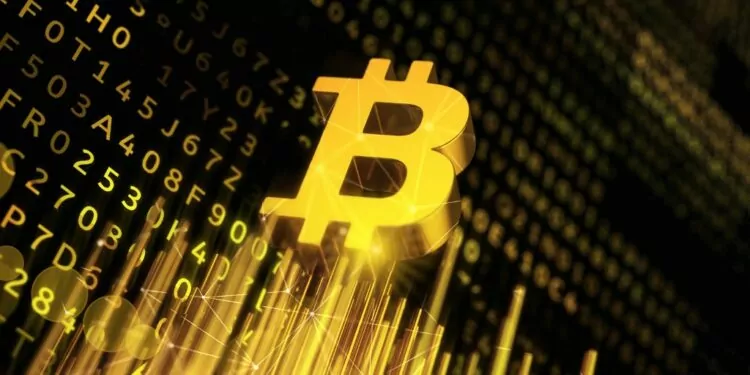 El Salvador Başkanı Nayib Bukele: Bitcoin'de Yükseliş Yakın 1 Bitcoin Türk Lirasından Güç Alarak 49.000 Dolara Yükseldi