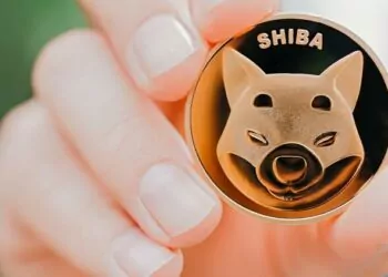 Shiba, Euler İle Anlaşma Yaparak Kullanıcılarına Faiz Getirisi Sağlayacak
