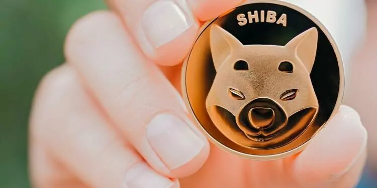 Shiba, Euler İle Anlaşma Yaparak Kullanıcılarına Faiz Getirisi Sağlayacak