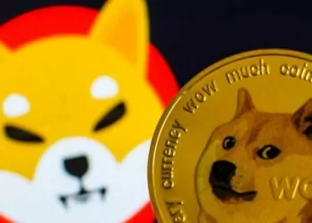 Unocoin Shiba Inu ve Dogecoin’i Listeledi