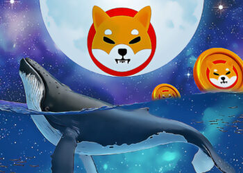 SHIB Balinası Daha Fazlasını Satın Aldı