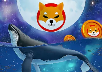 SHIB Balinası Daha Fazlasını Satın Aldı