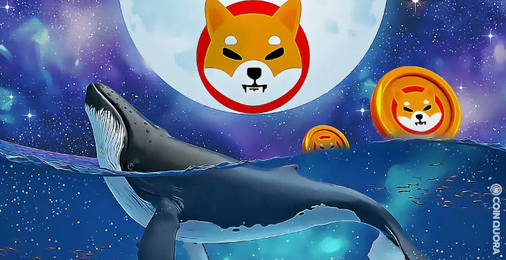 SHIB Balinası Daha Fazlasını Satın Aldı 1 SHIB Balinası Daha Fazlasını Satın Aldı