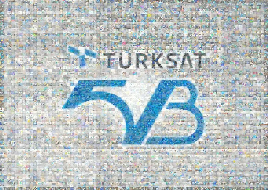 Cumhubaşkanı’ndan Elon Musk’a NFT Hediyesi