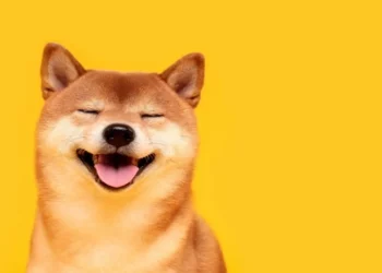 Shiba Inu Hindistan’da En Çok İşlem Görenler Arasında Bulunuyor