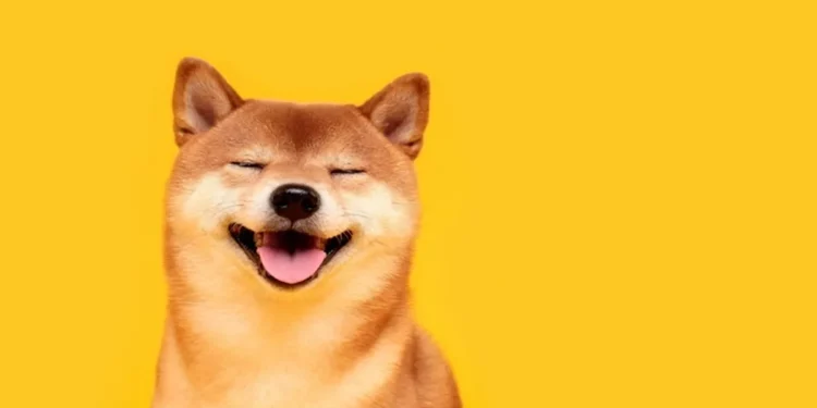 Shiba Inu Fiyat Tahminleri! Grafikler Ne Gösteriyor? 1 Shiba Inu Hindistan’da En Çok İşlem Görenler Arasında Bulunuyor