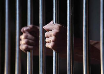 Hong Konglu Kardeşler Tutuklandı