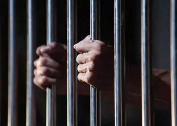 Hong Konglu Kardeşler Tutuklandı