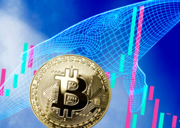 Bitcoin Fiyatı Düşüyor! Balinalar Düşüşte Bitcoin Satıyor mu?