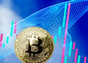 Bitcoin Fiyatı Düşüyor! Balinalar Düşüşte Bitcoin Satıyor mu?