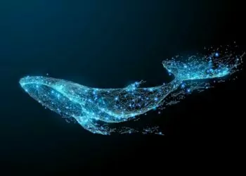 Ethereum Balinaları Portföyünde Ne Tutuyor