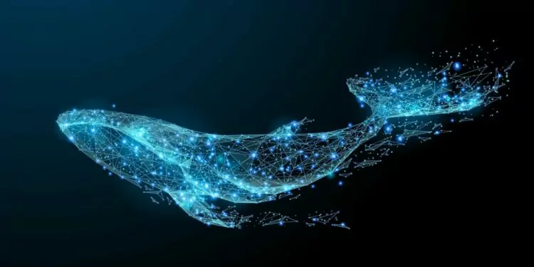 En Büyük İkinci ETH Balinası Yeni Altcoinler Biriktiriyor 1 Ethereum Balinaları Portföyünde Ne Tutuyor