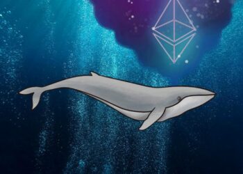 Ethereum Balinaları Bu Coini Alıyor!