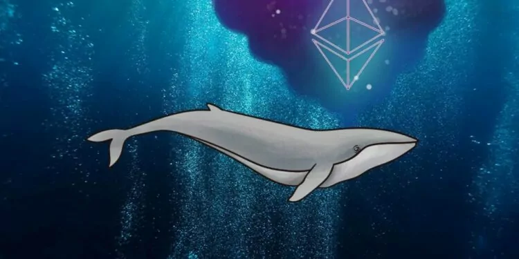 Ethereum Balinaları Bu Coini Alıyor!