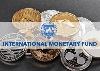 IMF, Kripto Para Düzenlemelerinin Nasıl Olması Gerektiğini Söyledi