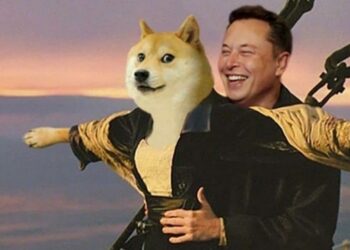 Dogecoin Elon Musk'ın Tweeti Sonrası Yükselişe Geçti