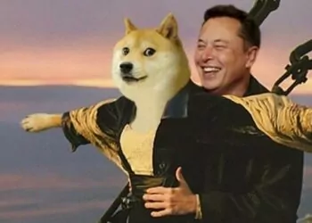 Dogecoin Elon Musk'ın Tweeti Sonrası Yükselişe Geçti