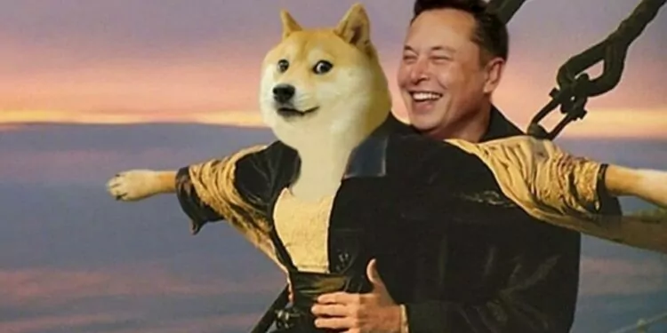 Dogecoin Elon Musk'ın Tweeti Sonrası Yükselişe Geçti 1 Dogecoin Elon Musk'ın Tweeti Sonrası Yükselişe Geçti