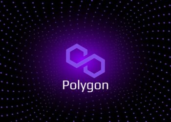 Ethereum Balinası 1.3 Milyon MATIC Aldı polygon
