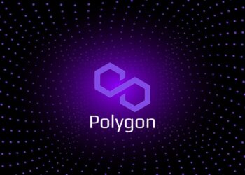 Polygon Fiyatı Yükseldikçe Ağda Büyüyor