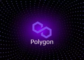 Polygon Fiyatı Yükseldikçe Ağda Büyüyor