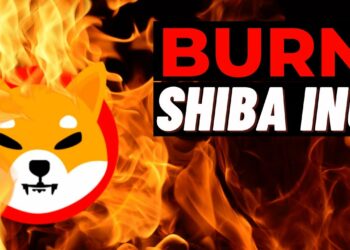 Shiba Inu’nun Token Yakma Yol Haritası