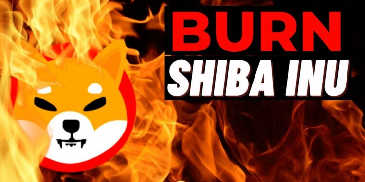 Son 24 Saatte 14,6 Milyon SHIB Yakıldı shiba 1