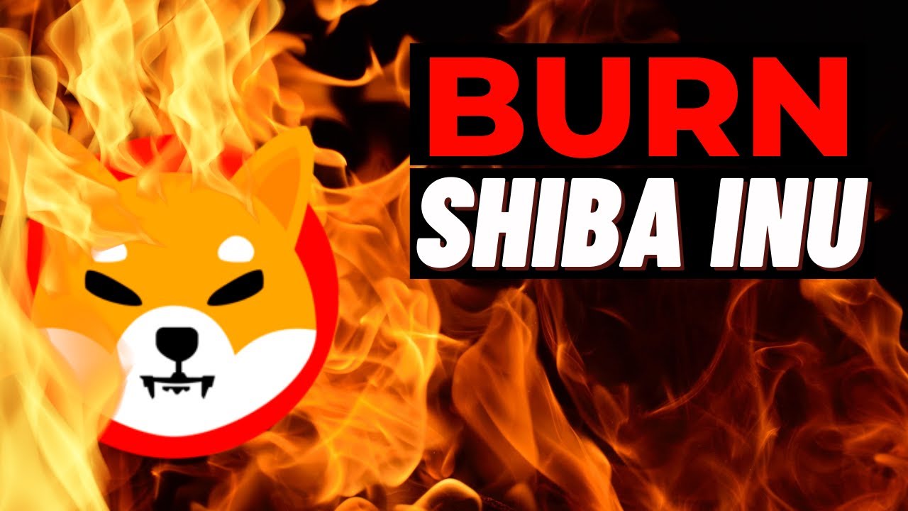 shiba inu yakımları devam ediyor! shiba 1