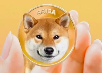 Shiba Inu Artık Kendi Restoranına Sahip