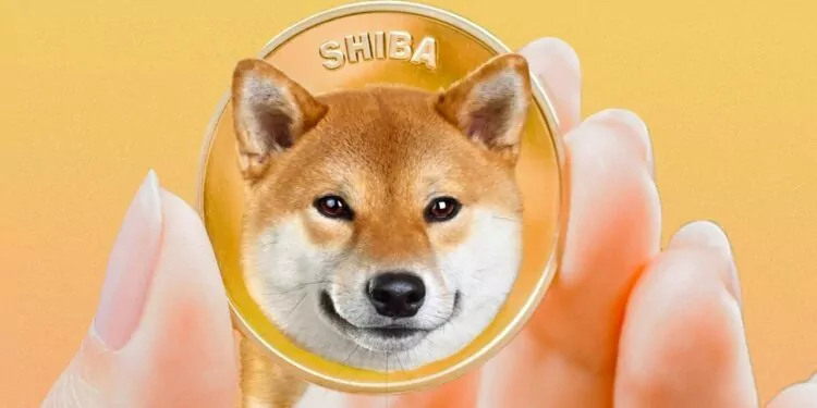 Shiba Inu Gelecek Yıl Bitstamp Borsasında 1 Shiba Inu Artık Kendi Restoranına Sahip