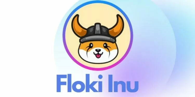 Floki Inu Türk Televizyonunda!
