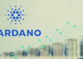 Cardano Vakfı CEO’sundan Açıklamalar