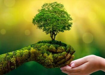 Coinbase Dünyanın İlk Yeşil Kriptosu MCO2'yi Listeliyor