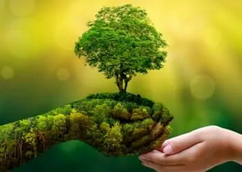 Coinbase Dünyanın İlk Yeşil Kriptosu MCO2'yi Listeliyor