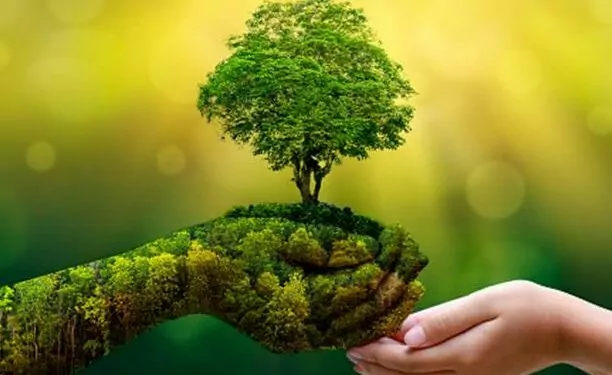 Coinbase Dünyanın İlk Yeşil Kriptosu MCO2'yi Listeliyor 1 Coinbase Dünyanın İlk Yeşil Kriptosu MCO2'yi Listeliyor