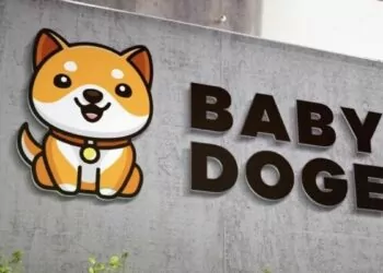 Baby Doge BSC’nin En Çok işlem Gören Kripto Para Birimi Oldu