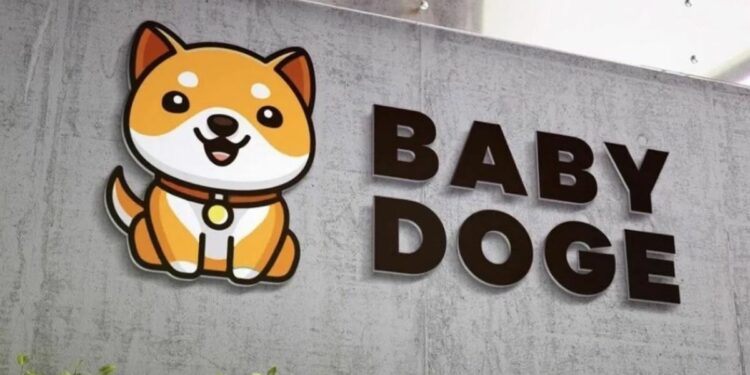 Baby Doge BSC’nin En Çok işlem Gören Kripto Para Birimi Oldu