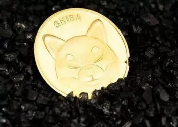 Shiba Inu Robinhood Haberinin Ardından Yükselişe Geçti