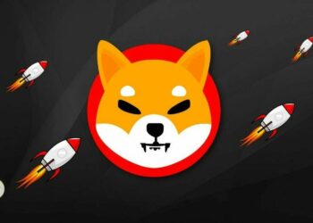 Shiba Inu Sahipleri Daha da Aktifleşiyor